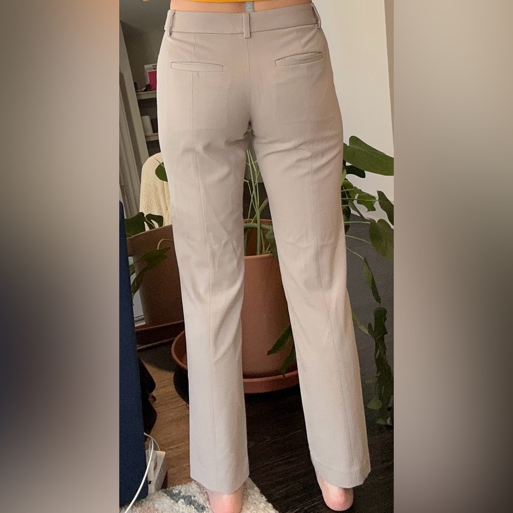 Express Editor Pants